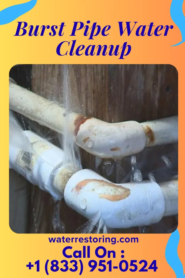 Burst Pipe Water Cleanup in Valle Vista, TX